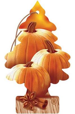 CAR FRESH SINGLE WARM PUMPKIN SPICE