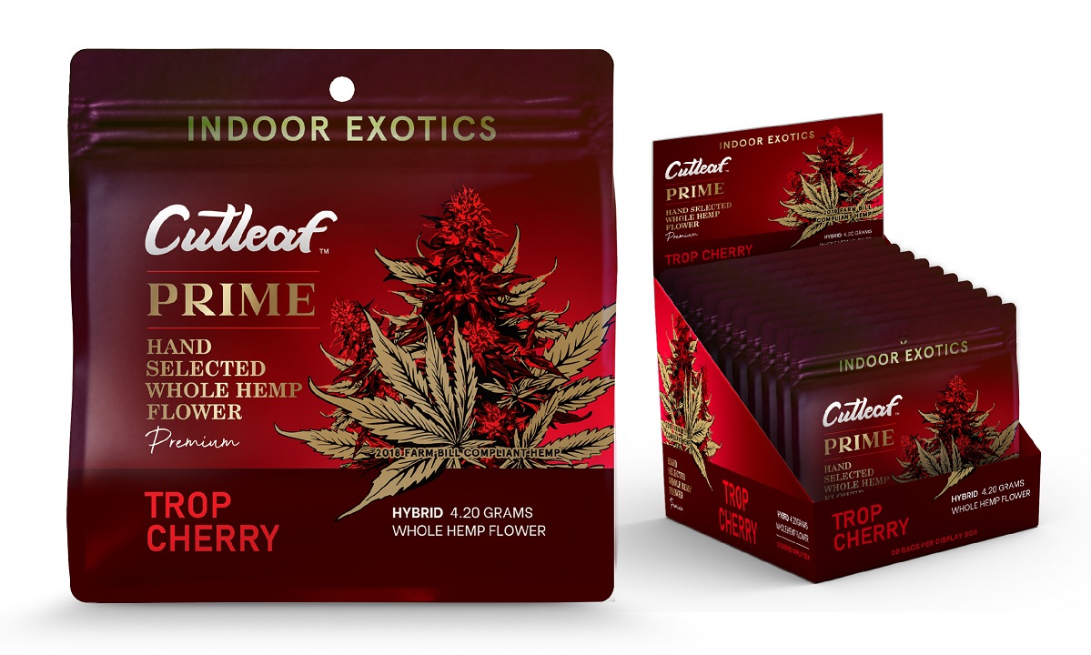 CUTLEAF PRIME FLOWER 4.2G  - TROP CHERRY (HYBRID)