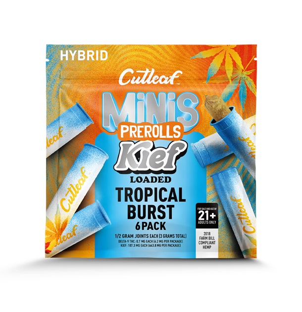 CUTLEAF MINI KIEF LOADED 6PK-TROP BURST
