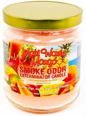 CANDLE JAR SMOKE ODOR MAUI WOWIE MANGO*EVERYDAY SCENT*