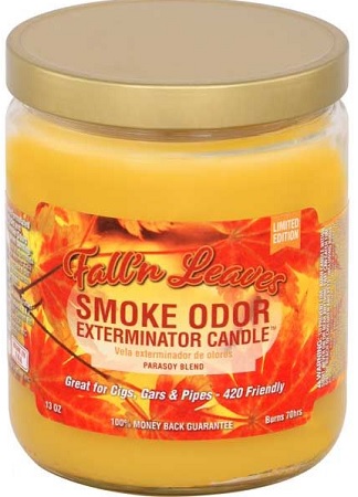 CANDLE JAR SMOKE ODOR FALL N LEAVES*LIMITED EDITION*