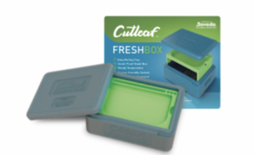 CUTLEAF FRESH BOX - ACID GREENCANNABIS HUMIDOR TO KEEP INSIDE FRESH + ROLLING TRAY