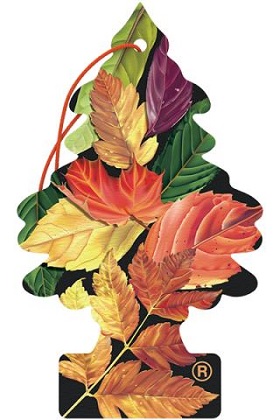 CAR FRESH SINGLE CRISP AUTUMN AIR