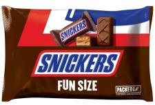 SNICKERS FUN SIZE 10.59OZ