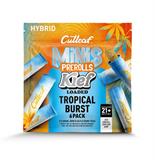 CUTLEAF MINI KIEF LOADED 6PK-TROP BURST