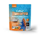 CUTLEAF KIEF EXOTIC FLOWER-TROPICAL BURST