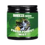 BREEZE ODOR CANDLE FRESH FOREST MIST13oz CANDLE