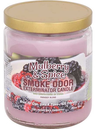 CANDLE JAR SMOKE ODOR MULBERRY & SPICE*EVERYDAY SCENT*